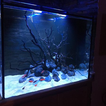 セシンブラAquarium Houseアパートメント エクステリア 写真