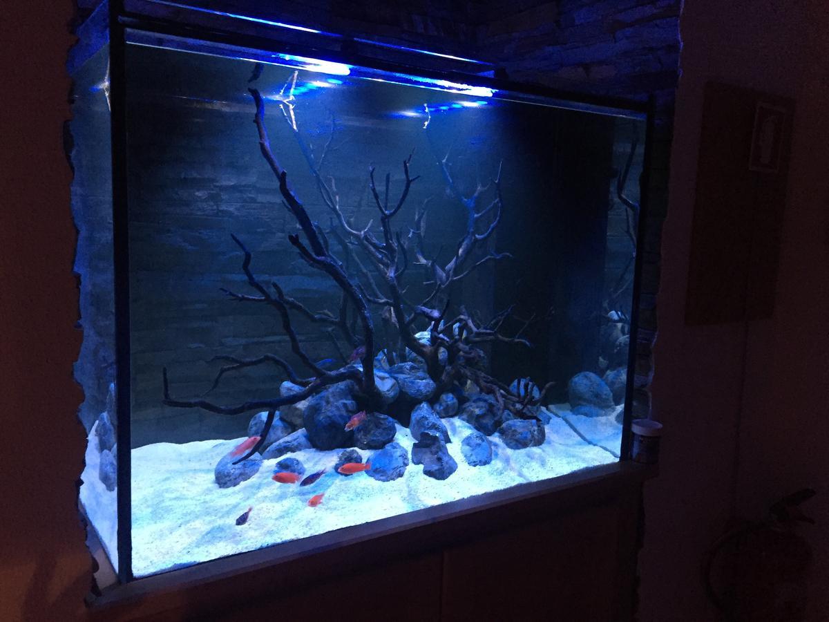 セシンブラAquarium Houseアパートメント エクステリア 写真